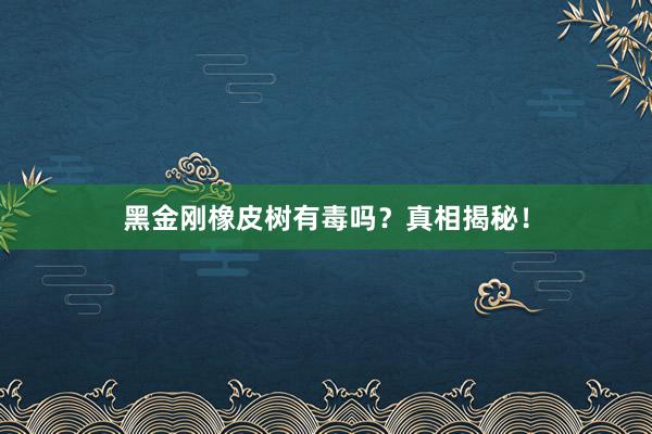 黑金刚橡皮树有毒吗？真相揭秘！