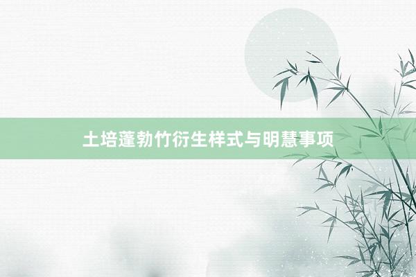 土培蓬勃竹衍生样式与明慧事项